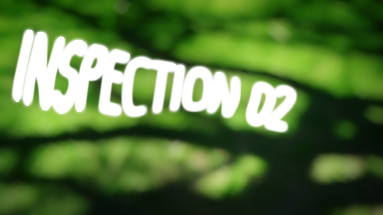 Inspection 02 Trailer