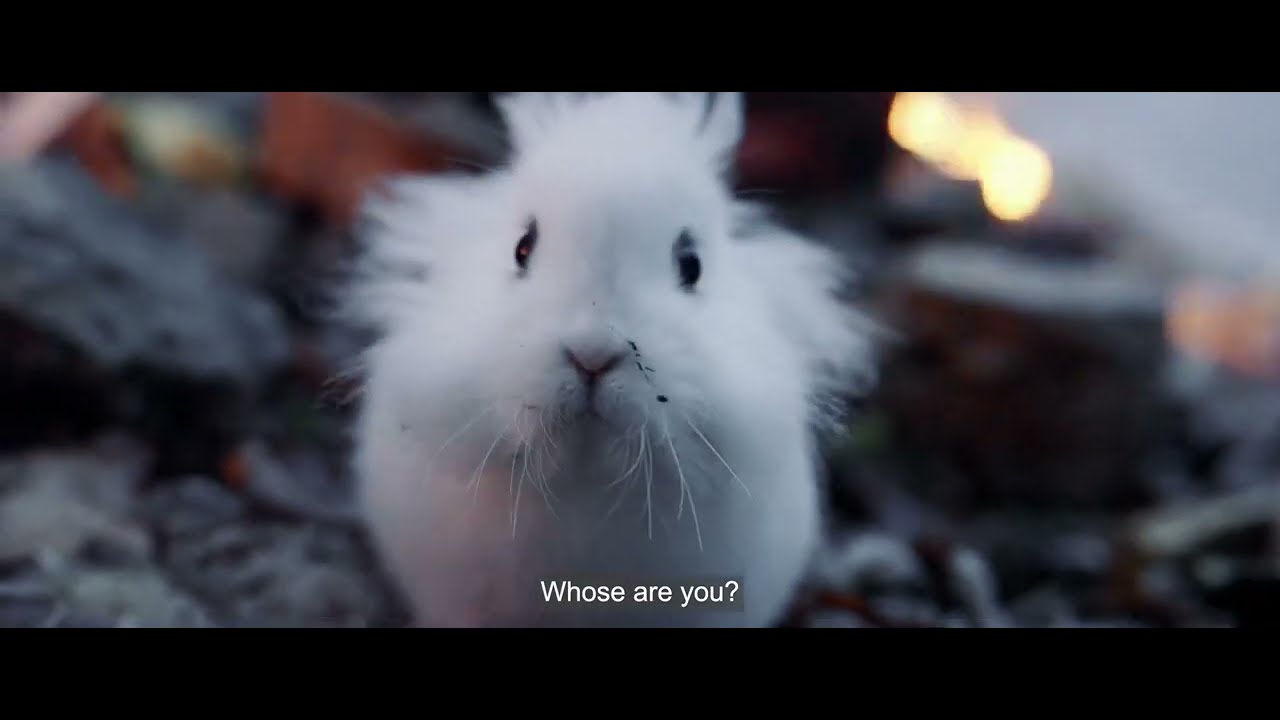 Animals in War Trailer