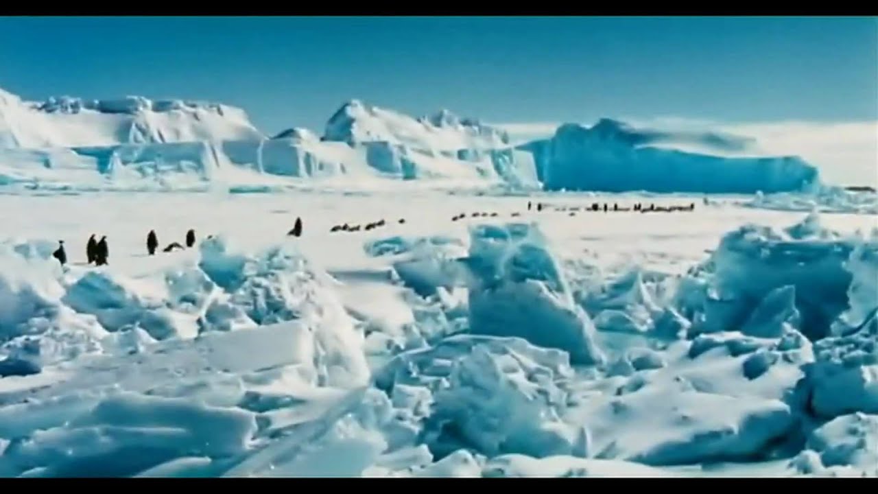 March of the Penguins Trailer