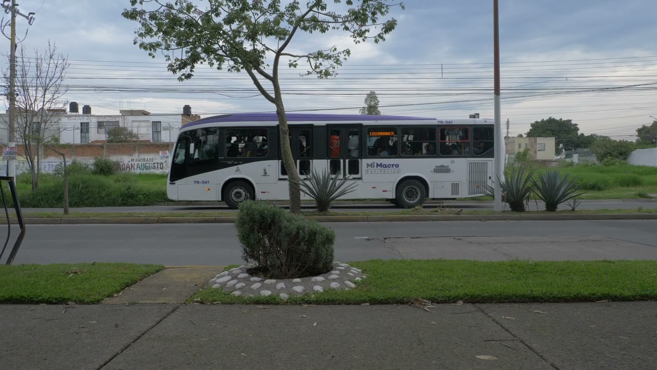 significantes, cinco de cinco Trailer